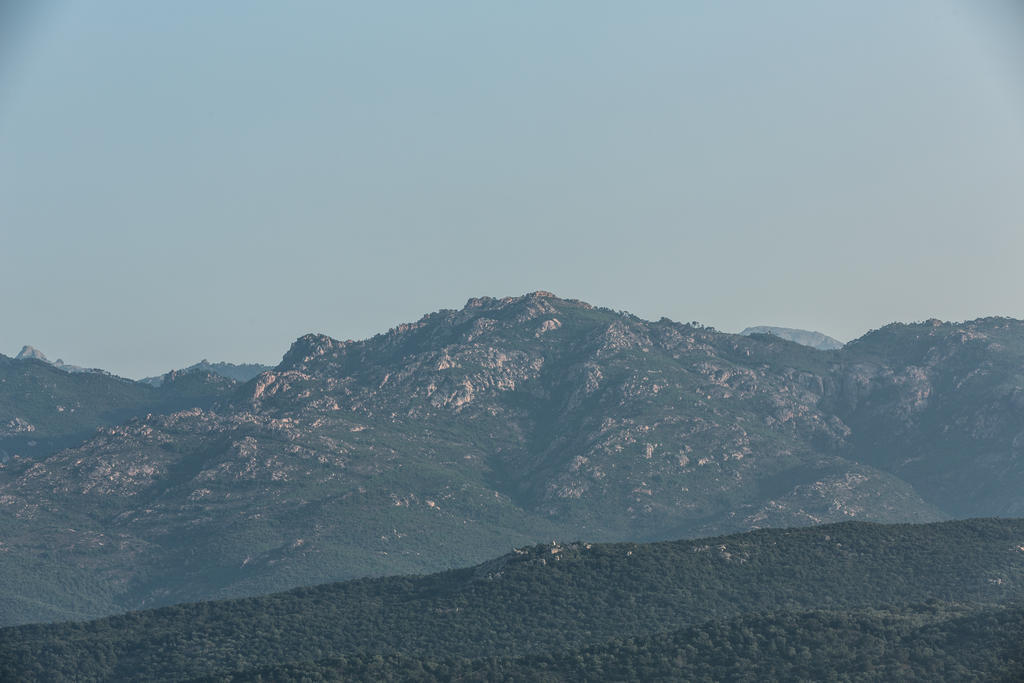 Résidence Hôtelière Alcyon Porto-Vecchio (Corsica) Quarto foto